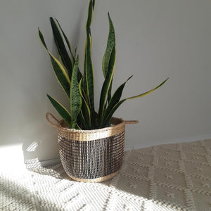 Carnastar Seagrass Basket